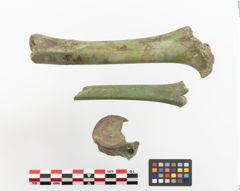 Foto von Bronzesitula (NHMW-PRAE-023693)